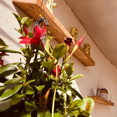 Appartement Les Mégalithes
