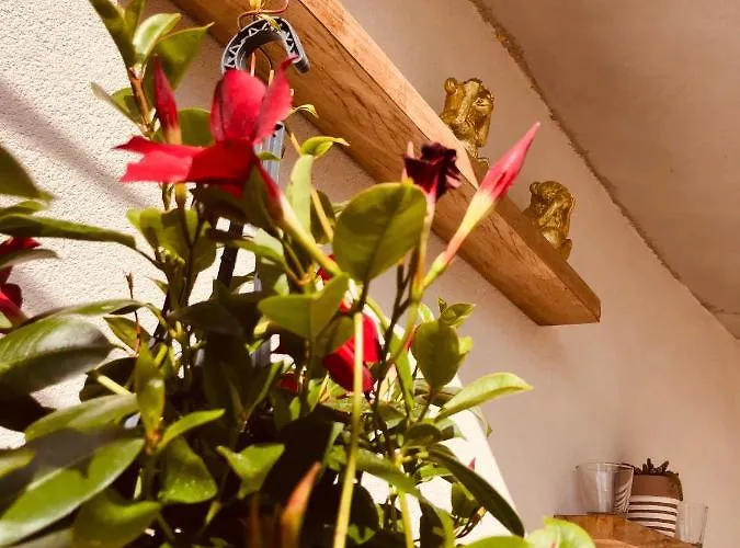 아파트 Les Megalithes