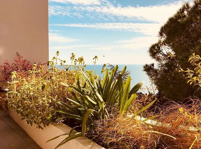 Les Megalithes 세테